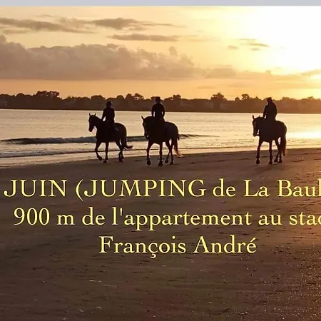 Apartment 3tres Beau Logement, Idealement Situe , Plages, Port & Velo A Disp