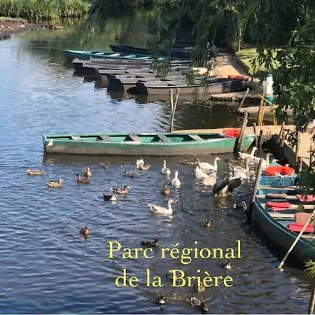 3tres Beau Logement, Idealement Situe , Plages, Port & Velo A Disp *