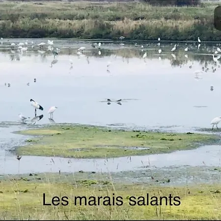 3tres Beau Logement, Idealement Situe , Plages, Port & Velo A Disp *