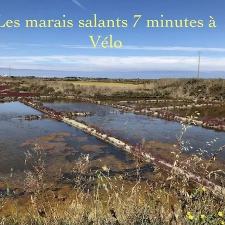 3tres Beau Logement, Idealement Situe , Plages, Port & Velo A Disp Apartmán