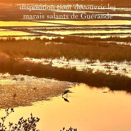 3tres Beau Logement, Idealement Situe , Plages, Port & Velo A Disp La Baule-Escoublac