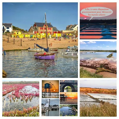 3tres Beau Logement, Idealement Situe , Plages, Port & Velo A Disp