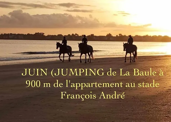 Apartment 3tres Beau Logement, Idealement Situe , Plages, Port & Velo A Disp