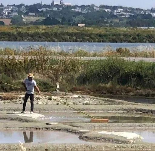 3tres Beau Logement, Idealement Situe , Plages, Port & Velo A Disp