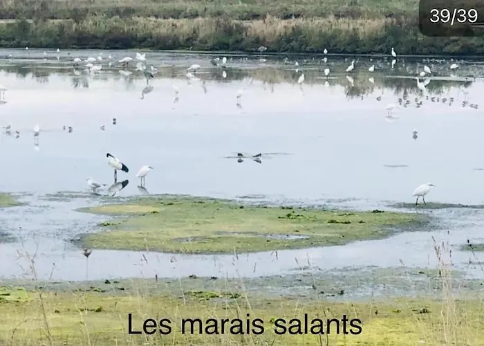 3tres Beau Logement, Idealement Situe , Plages, Port & Velo A Disp *