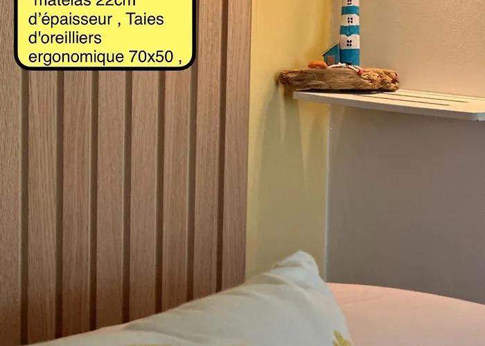 3tres Beau Logement, Idealement Situe , Plages, Port & Velo A Disp Apartment