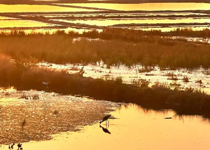 3tres Beau Logement, Idealement Situe , Plages, Port & Velo A Disp La Baule-Escoublac